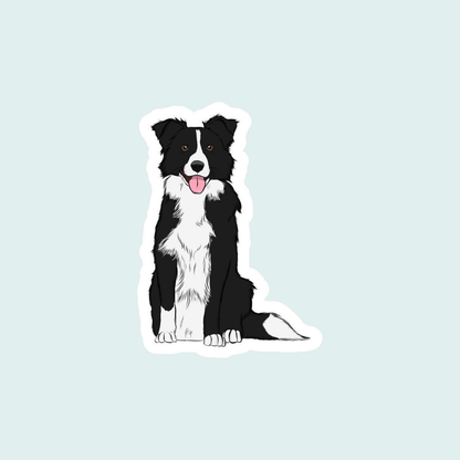 Stickers Mascotas - Border collie