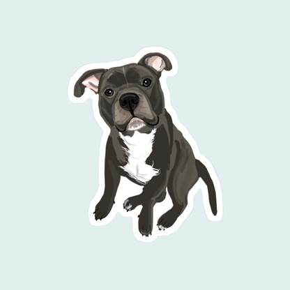 Stickers Mascotas - Pitbull