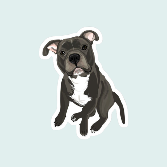 Stickers Mascotas - Pitbull