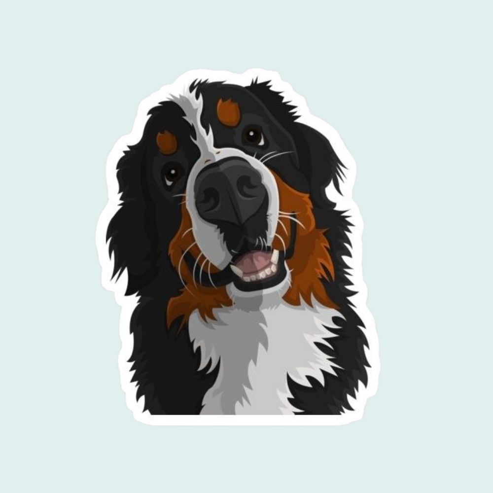 Stickers Mascotas - San bernardo