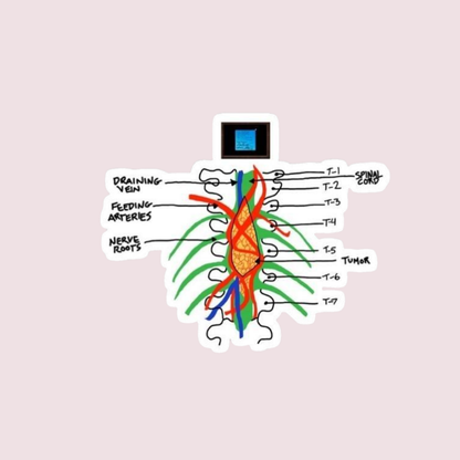 Stickers Series - Tumor espinal grey's anatomy