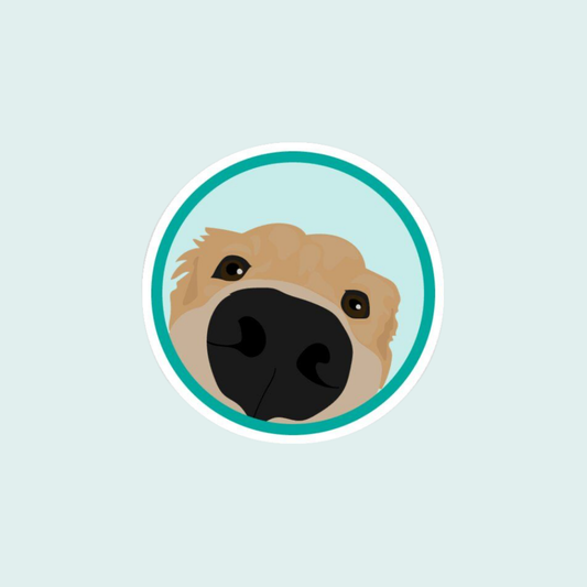 Stickers Mascotas - Golden